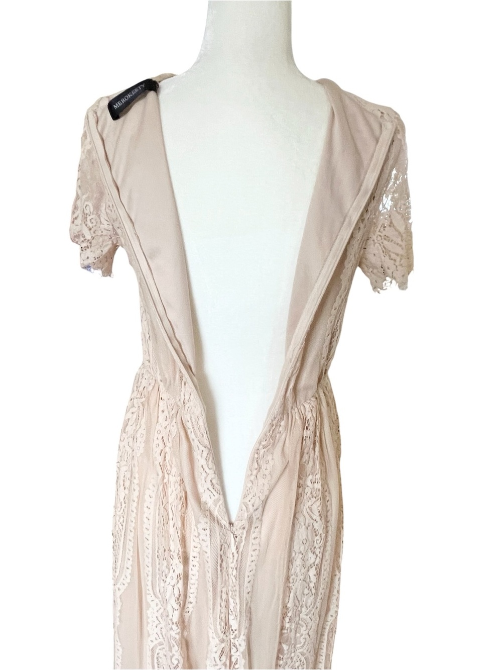 Elegant V-Neck Lace Maxi Dress in Blush - Picture 6 of 10